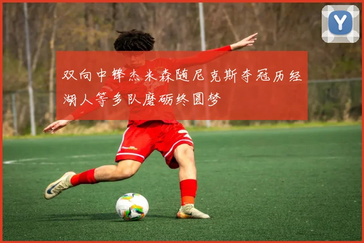 双向中锋杰米森随尼克斯夺冠历经湖人等多队磨砺终圆梦