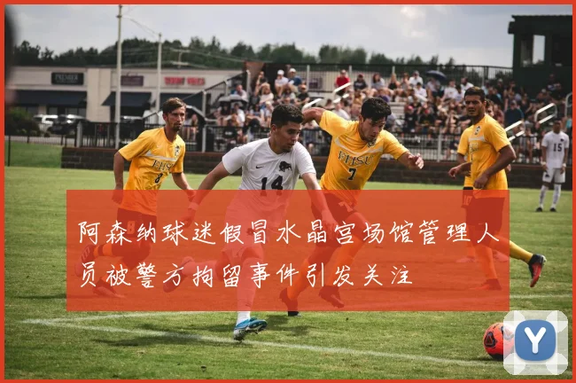 阿森纳球迷假冒水晶宫场馆管理人员被警方拘留事件引发关注