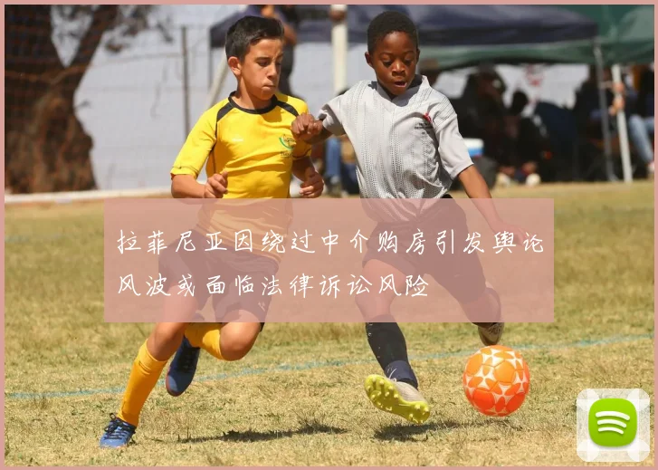 拉菲尼亚因绕过中介购房引发舆论风波或面临法律诉讼风险